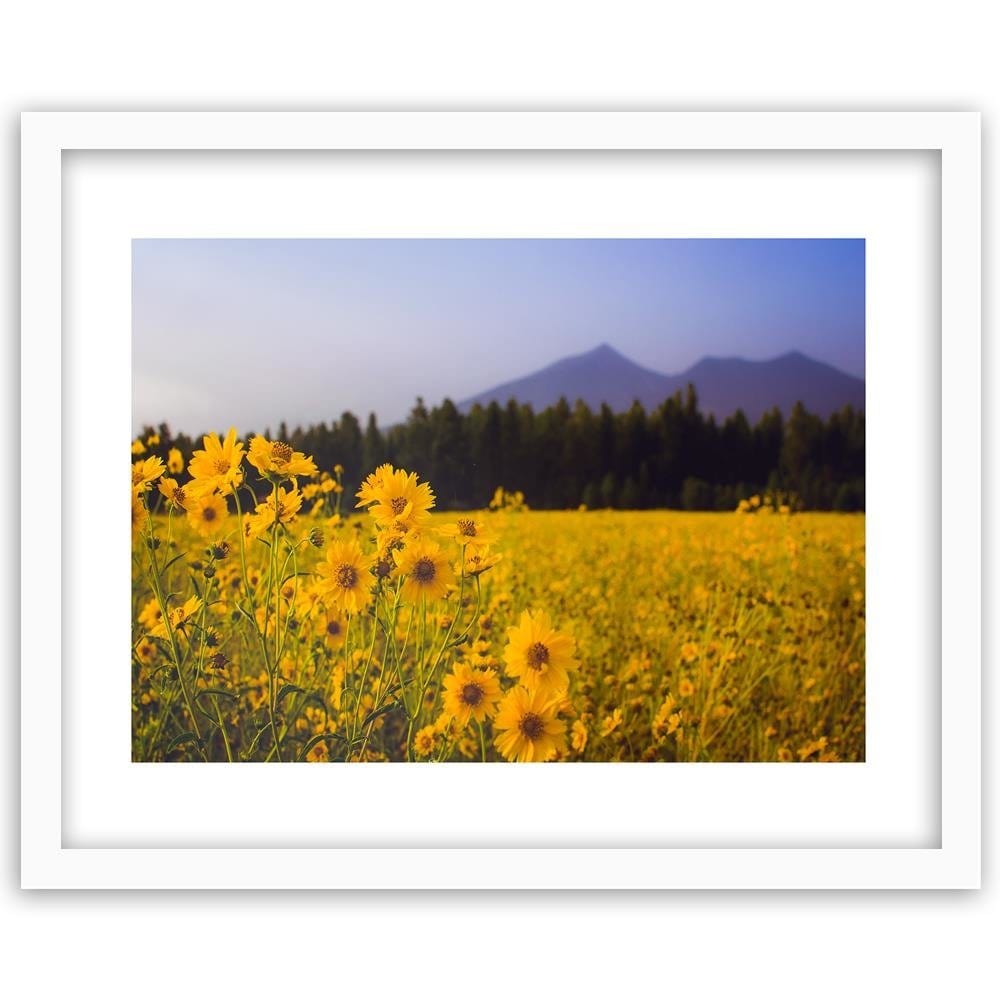 Glezna baltā rāmī - Wild Yellow Flower Home Trends DECO