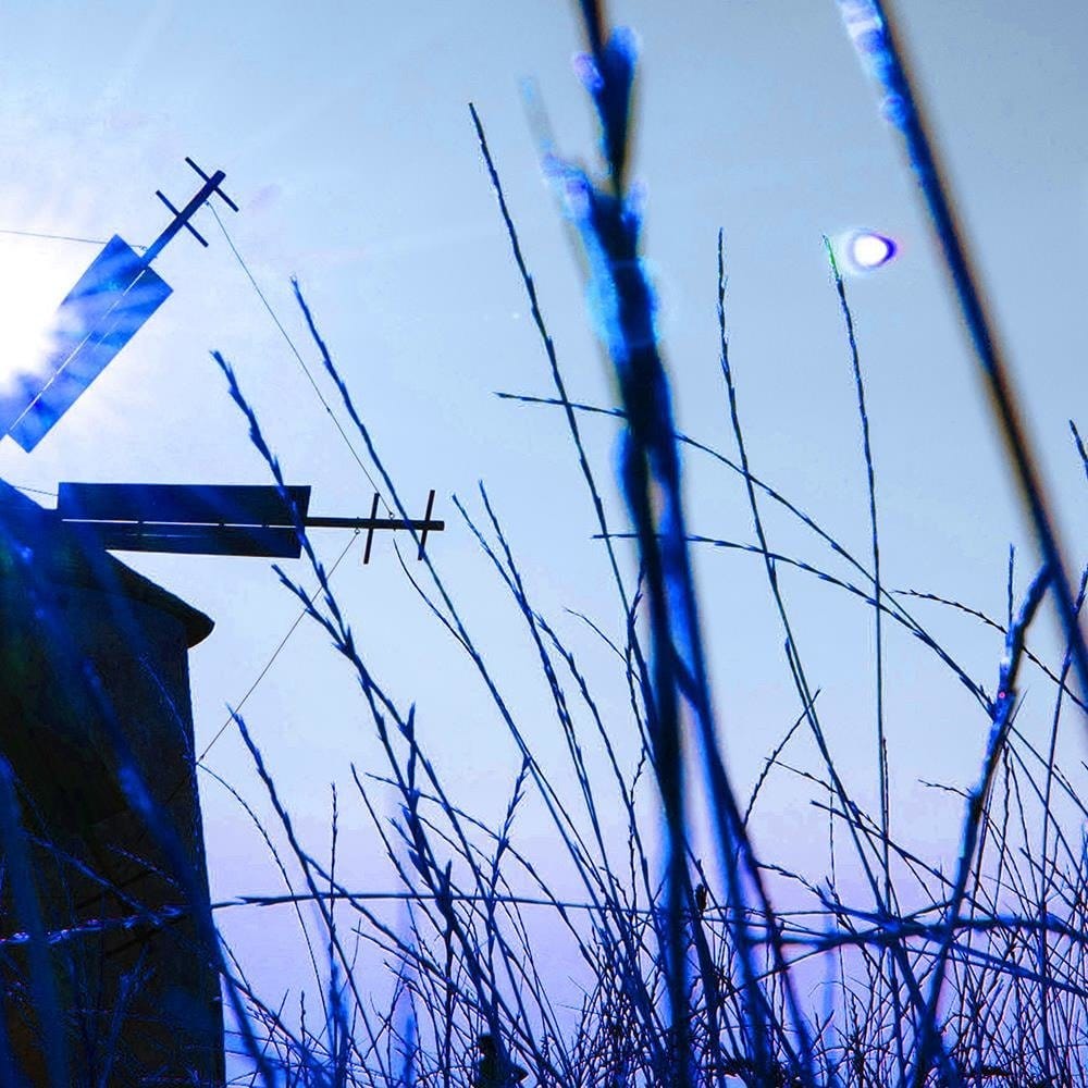 Glezna baltā rāmī - Windmill Home Trends DECO