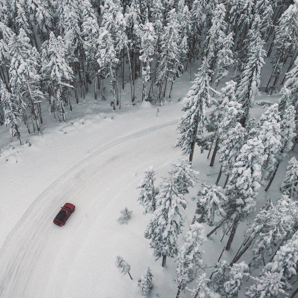 Glezna baltā rāmī - Winter Forest Home Trends DECO