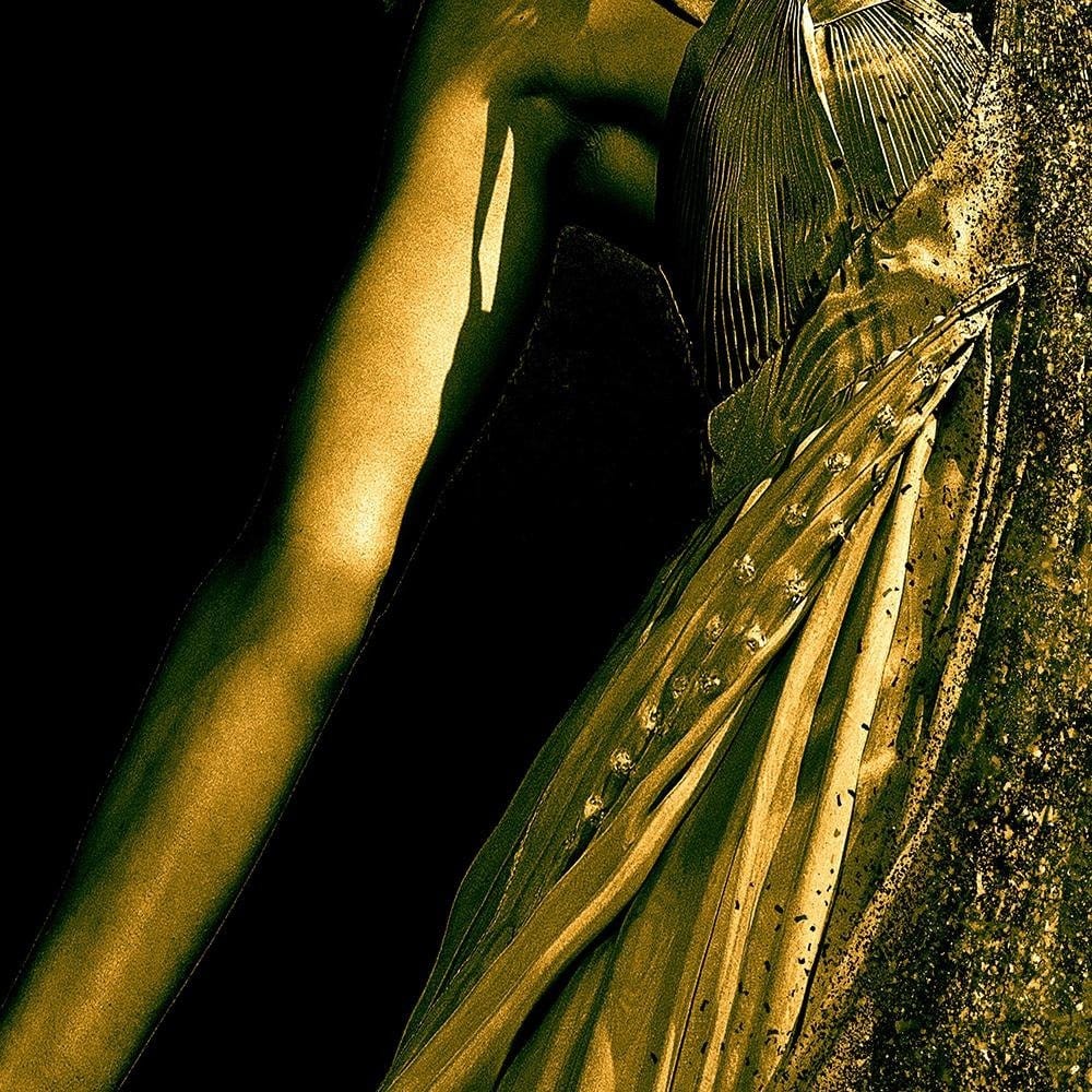 Glezna baltā rāmī - Woman In Gold Dust Home Trends DECO