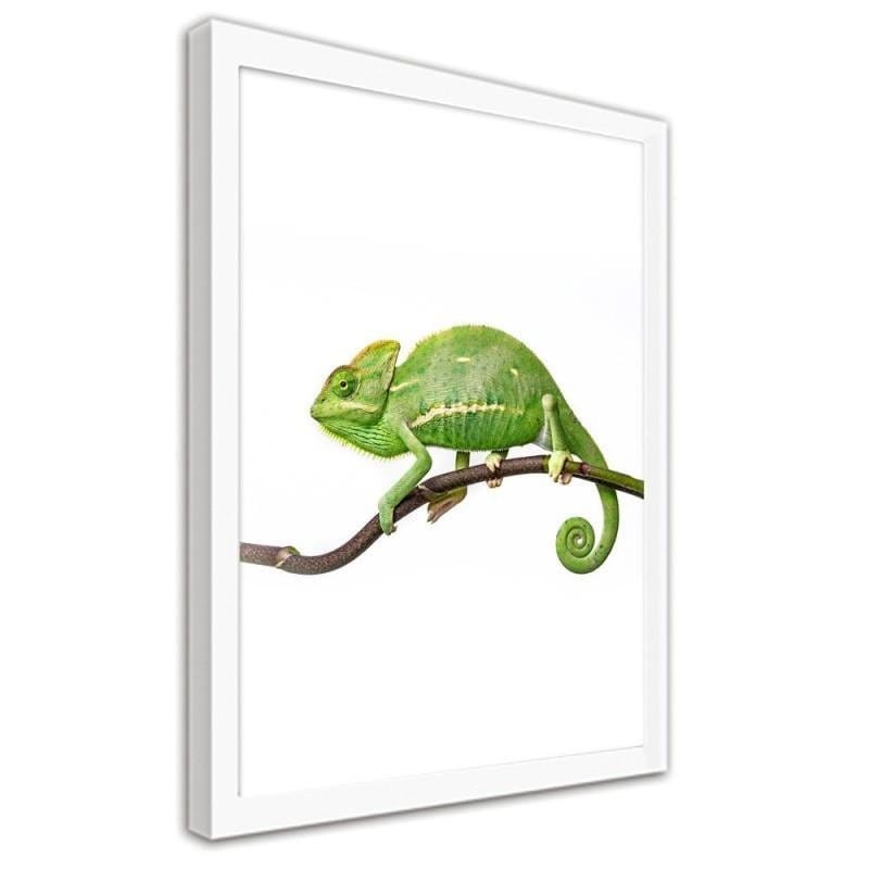 Glezna baltā rāmī - Yemen chameleon Home Trends DECO
