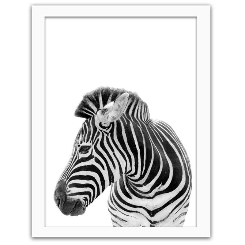 Glezna baltā rāmī - Zebra Home Trends DECO