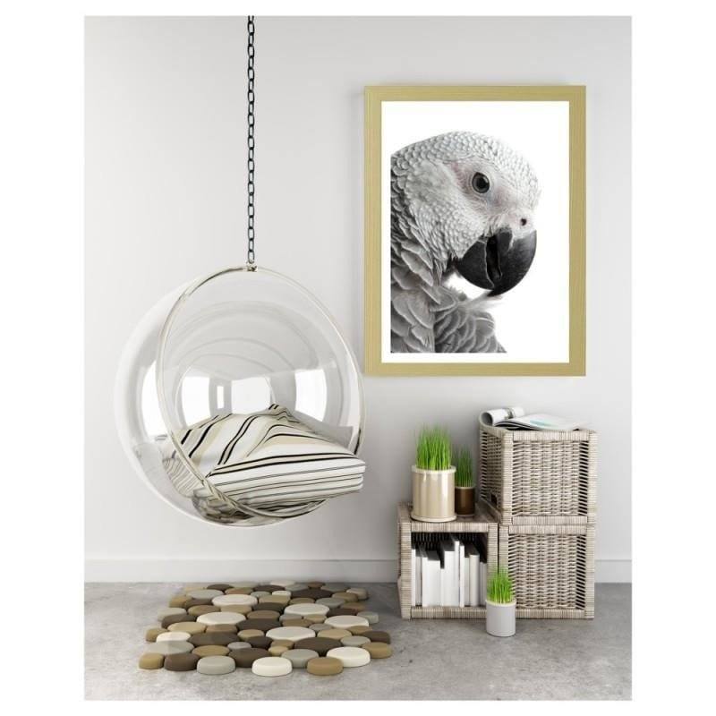 Glezna bēšā rāmī - A jacoon parrot Home Trends DECO