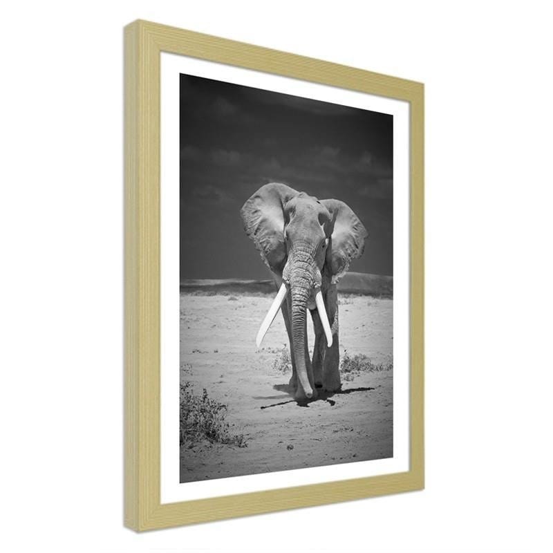 Glezna bēšā rāmī - A lonely wandering elephant Home Trends DECO