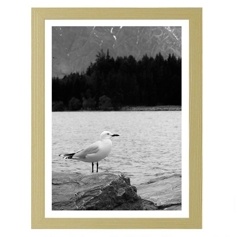 Glezna bēšā rāmī - A seagull on a rock Home Trends DECO
