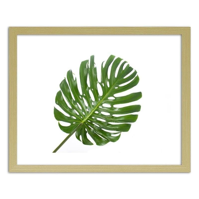 Glezna bēšā rāmī - Large leaf Home Trends DECO