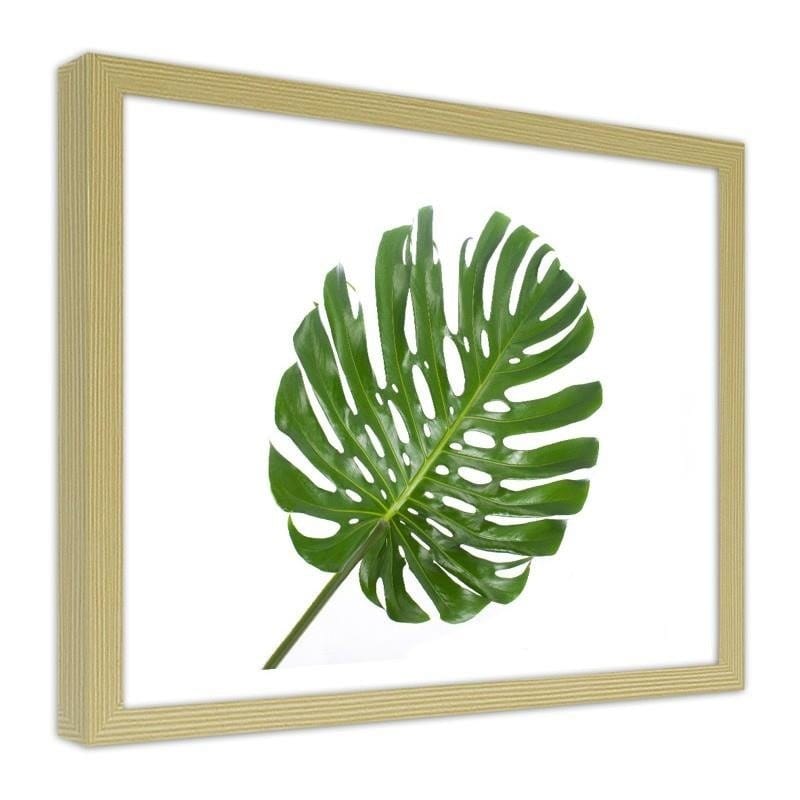 Glezna bēšā rāmī - Large leaf Home Trends DECO
