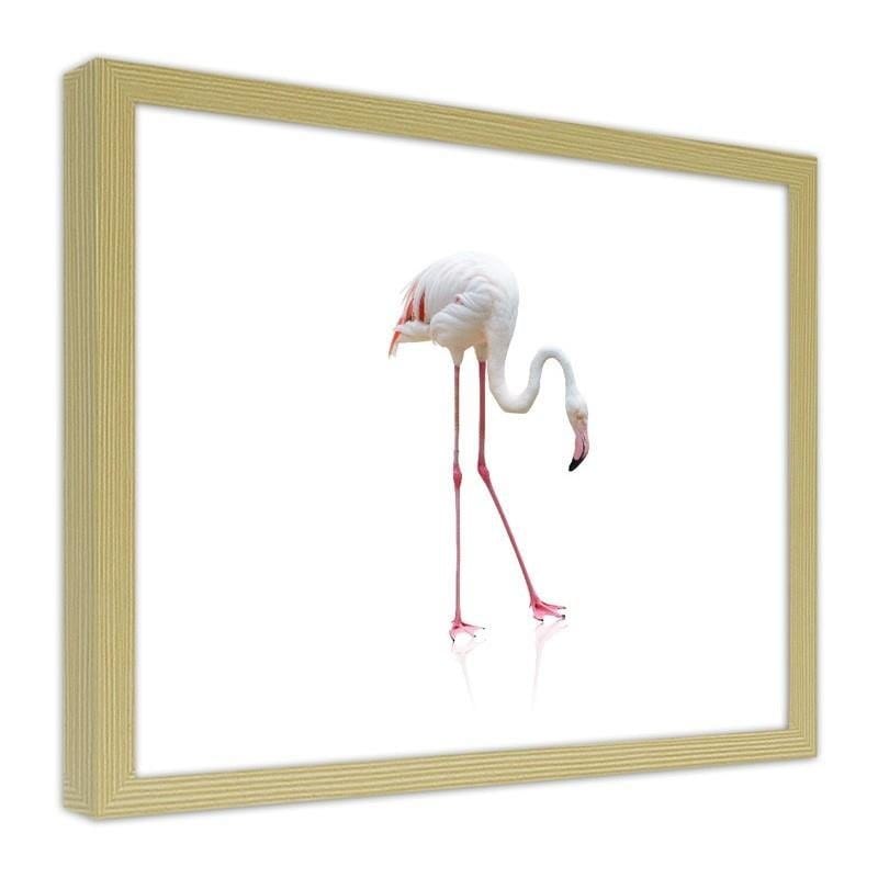 Glezna bēšā rāmī - Lonely flamingo Home Trends DECO