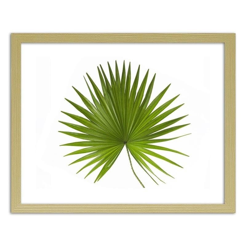 Glezna bēšā rāmī - Palm leaf Home Trends DECO
