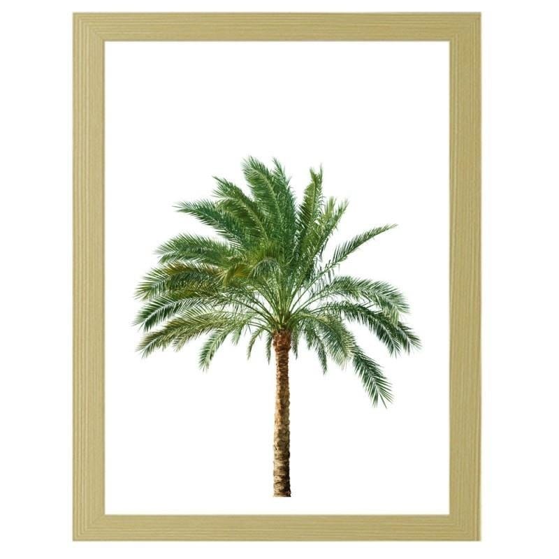 Glezna bēšā rāmī - Palm on white background Home Trends DECO