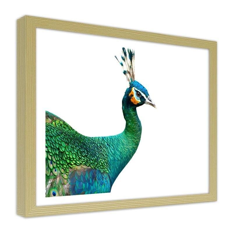 Glezna bēšā rāmī - Peacock head Home Trends DECO