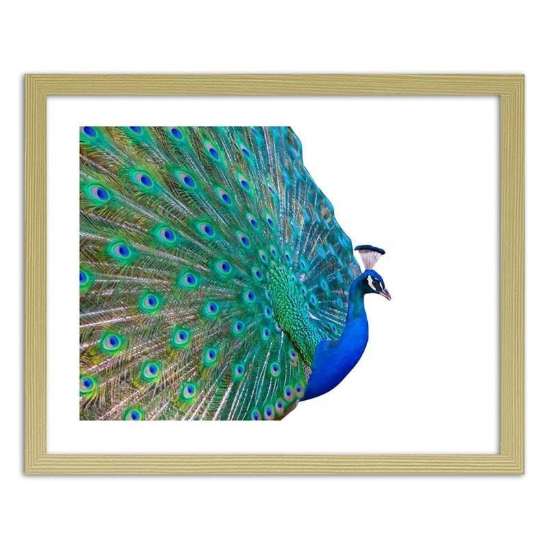 Glezna bēšā rāmī - Peacock with a tail spread out Home Trends DECO