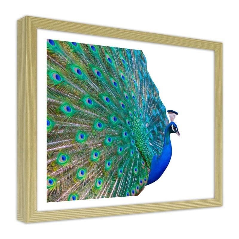 Glezna bēšā rāmī - Peacock with a tail spread out Home Trends DECO