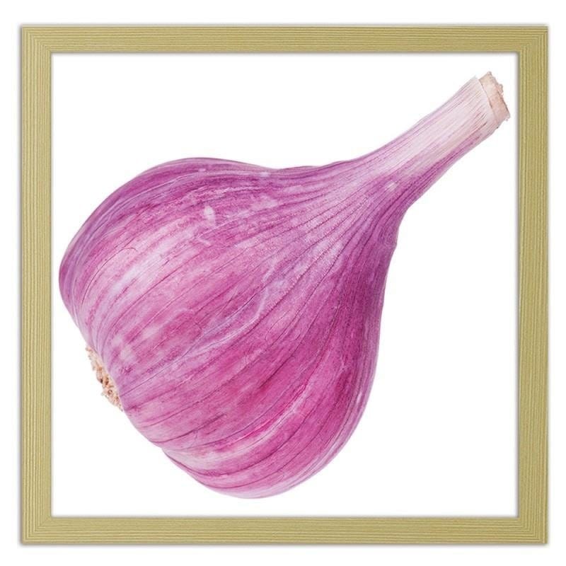 Glezna bēšā rāmī - Pink garlic Home Trends DECO