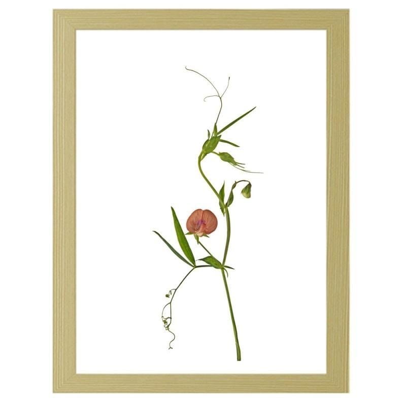 Glezna bēšā rāmī - Plant Home Trends DECO