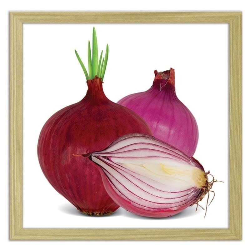 Glezna bēšā rāmī - Red onions Home Trends DECO