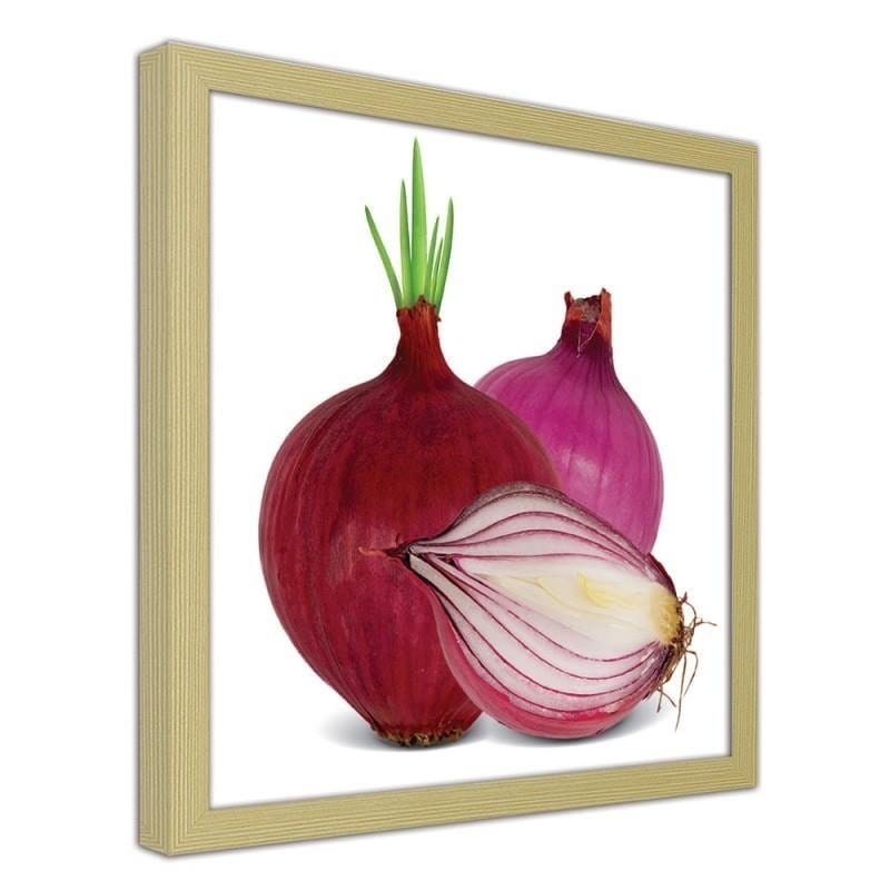 Glezna bēšā rāmī - Red onions Home Trends DECO