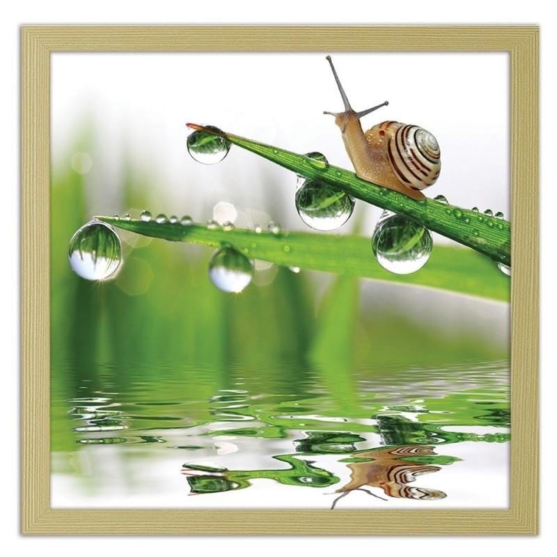 Glezna bēšā rāmī - Snail on sprinkled grass Home Trends DECO