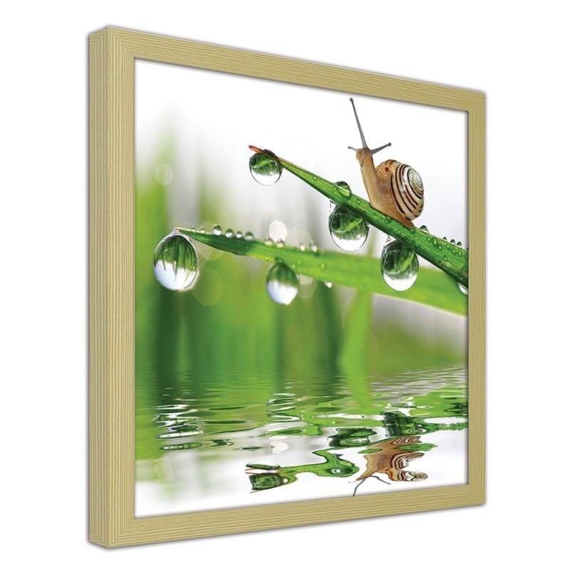 Glezna bēšā rāmī - Snail on sprinkled grass Home Trends DECO