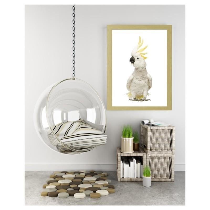 Glezna bēšā rāmī - Sulfur-crested cockatoos Home Trends DECO