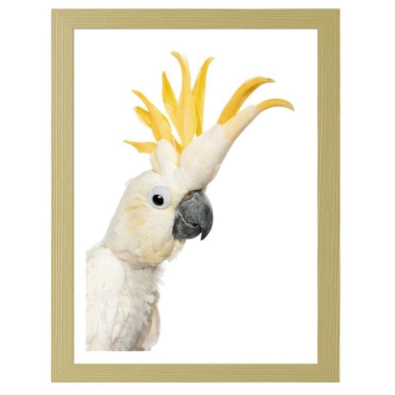 Glezna bēšā rāmī - Sulphur-crested cockatoos Home Trends DECO
