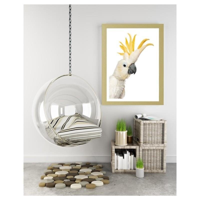 Glezna bēšā rāmī - Sulphur-crested cockatoos Home Trends DECO