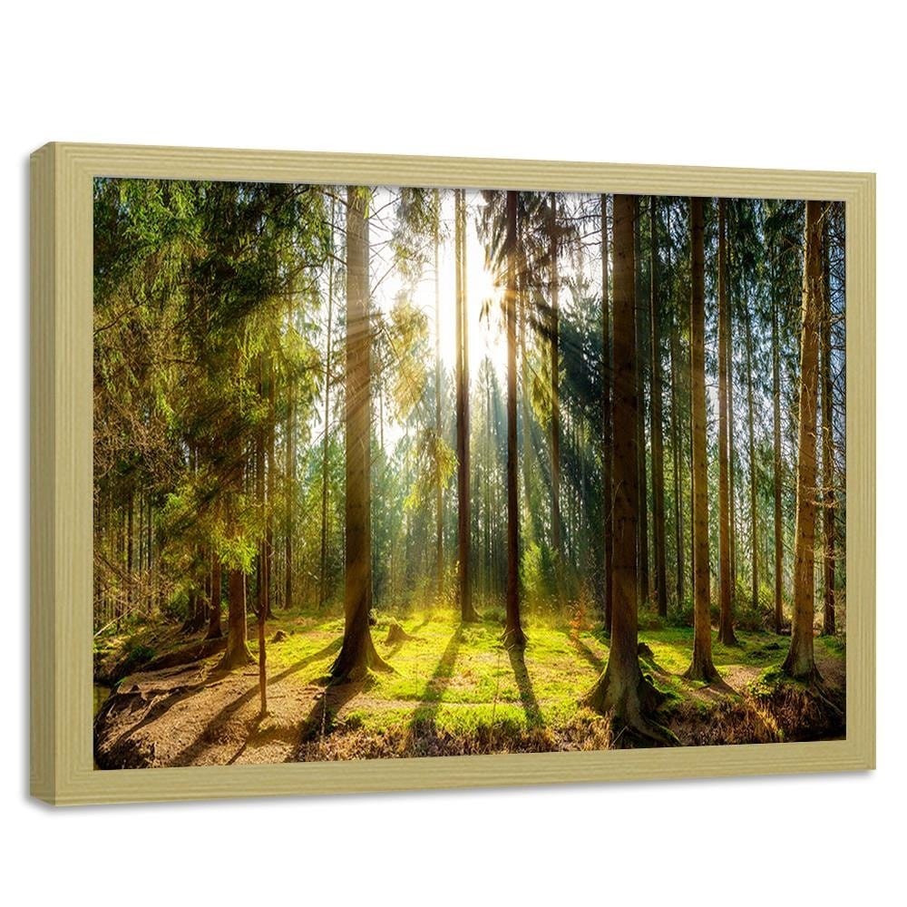 Glezna bēšā rāmī - Sunshine Behind The Trees Home Trends DECO