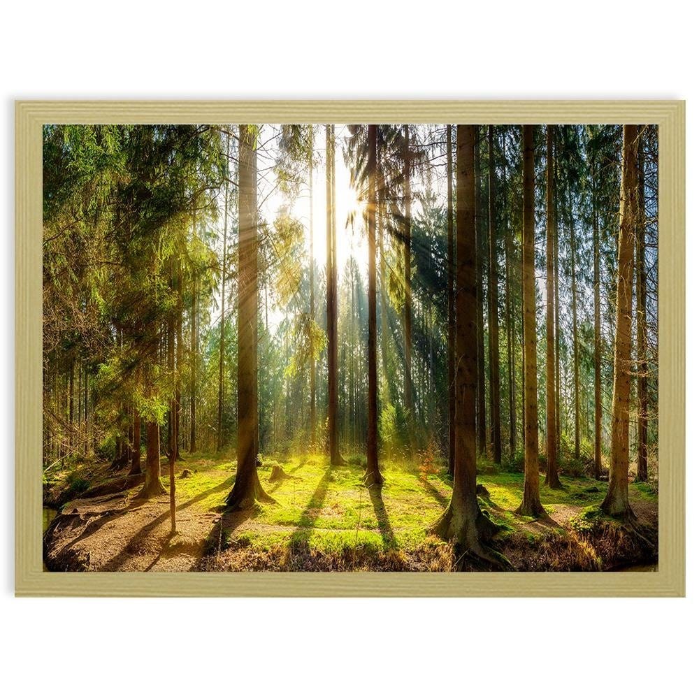 Glezna bēšā rāmī - Sunshine Behind The Trees Home Trends DECO
