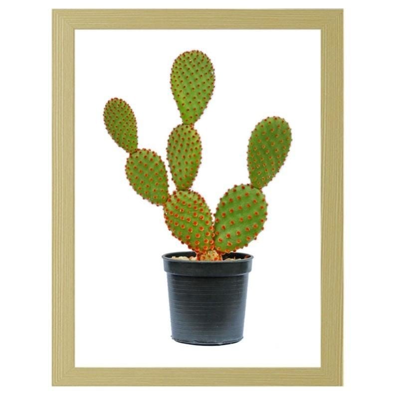 Glezna bēšā rāmī - The cactus in the pot Home Trends DECO