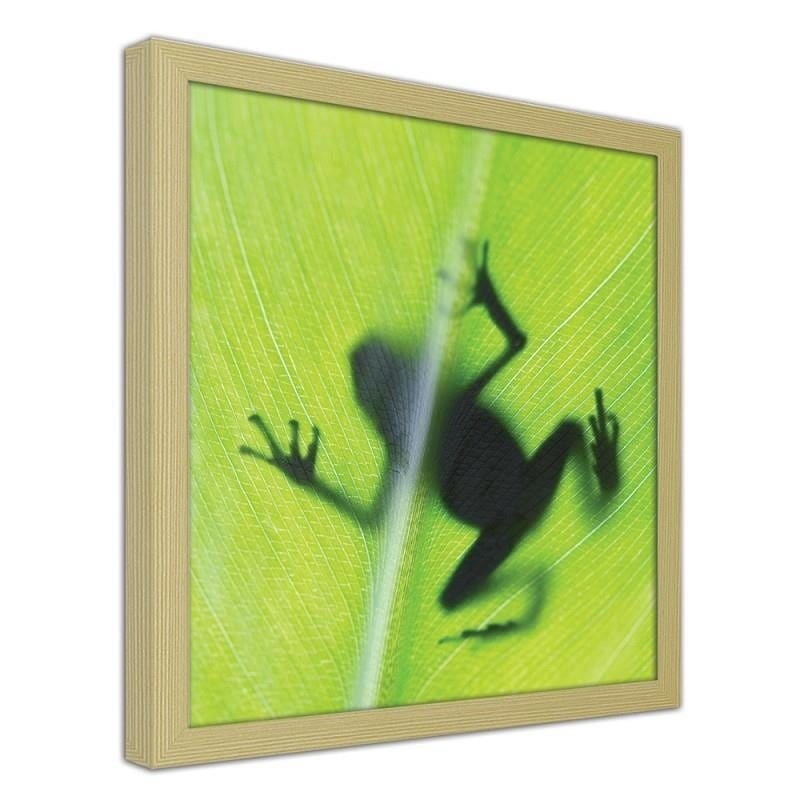 Glezna bēšā rāmī - The frog on the green leaf Home Trends DECO