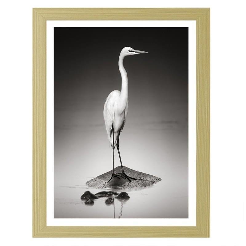 Glezna bēšā rāmī - The heron on the hippopotamus Home Trends DECO