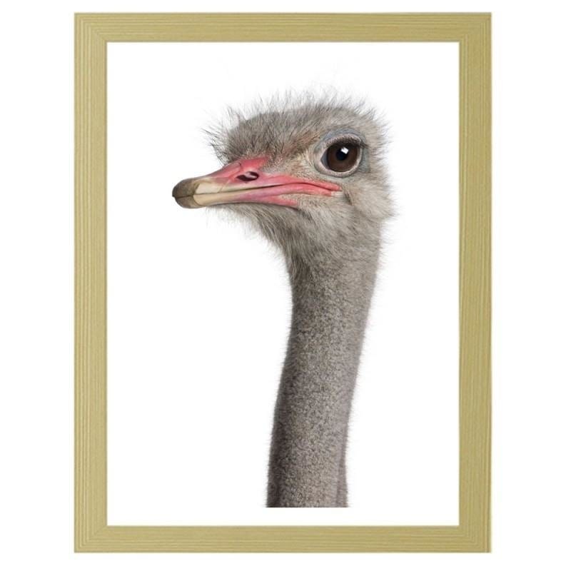 Glezna bēšā rāmī - The ostrich head Home Trends DECO