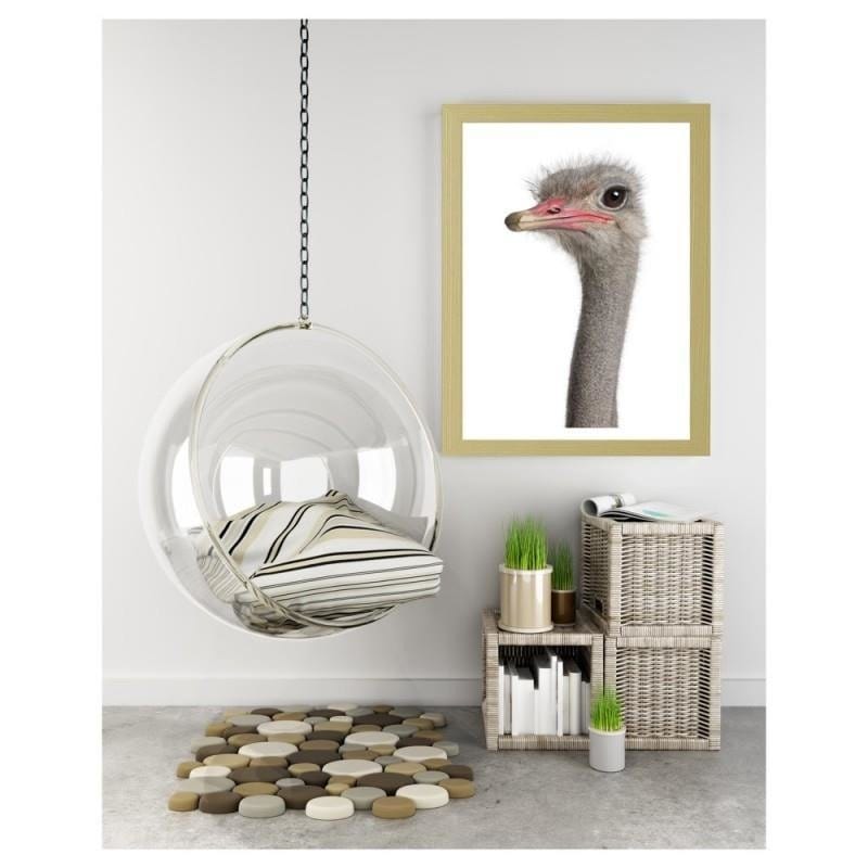 Glezna bēšā rāmī - The ostrich head Home Trends DECO