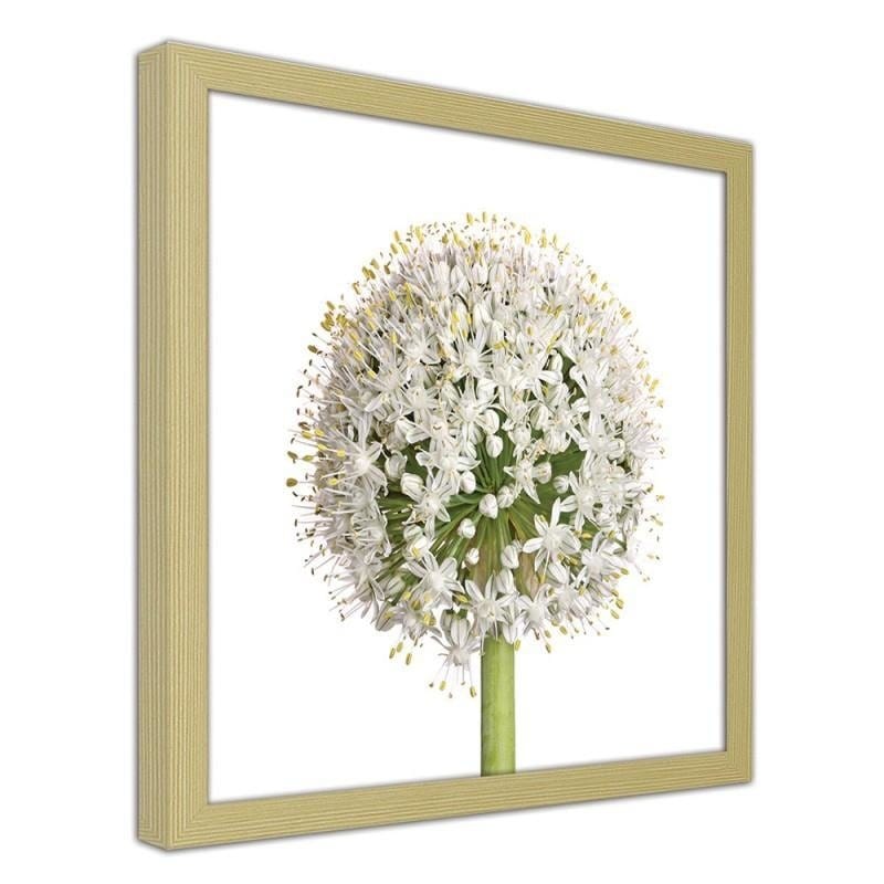 Glezna bēšā rāmī - White garlic flower Home Trends DECO