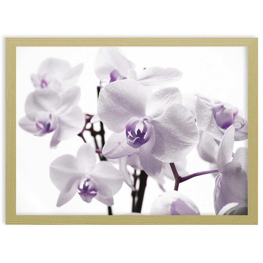 Glezna bēšā rāmī - White Orchid 3 Home Trends DECO