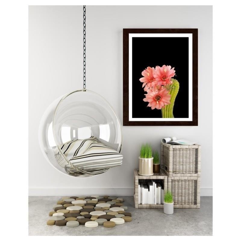 Glezna brūnā rāmī - A cactus with red flowers Home Trends DECO