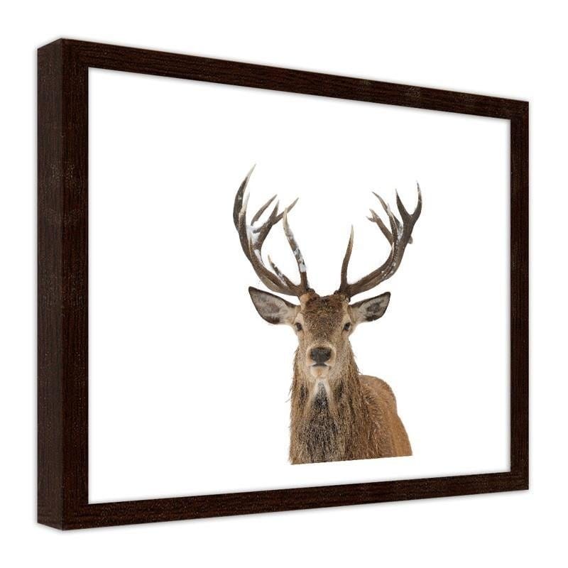 Glezna brūnā rāmī - A deer's head on a white background Home Trends DECO