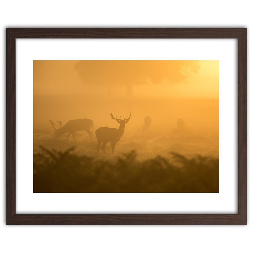 Glezna brūnā rāmī - A Herd Of Deer At Dawn Home Trends DECO