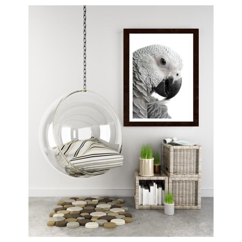 Glezna brūnā rāmī - A jacoon parrot Home Trends DECO
