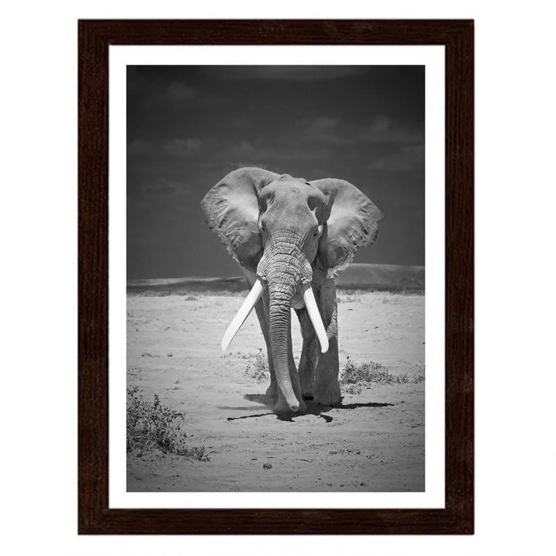 Glezna brūnā rāmī - A lonely wandering elephant Home Trends DECO