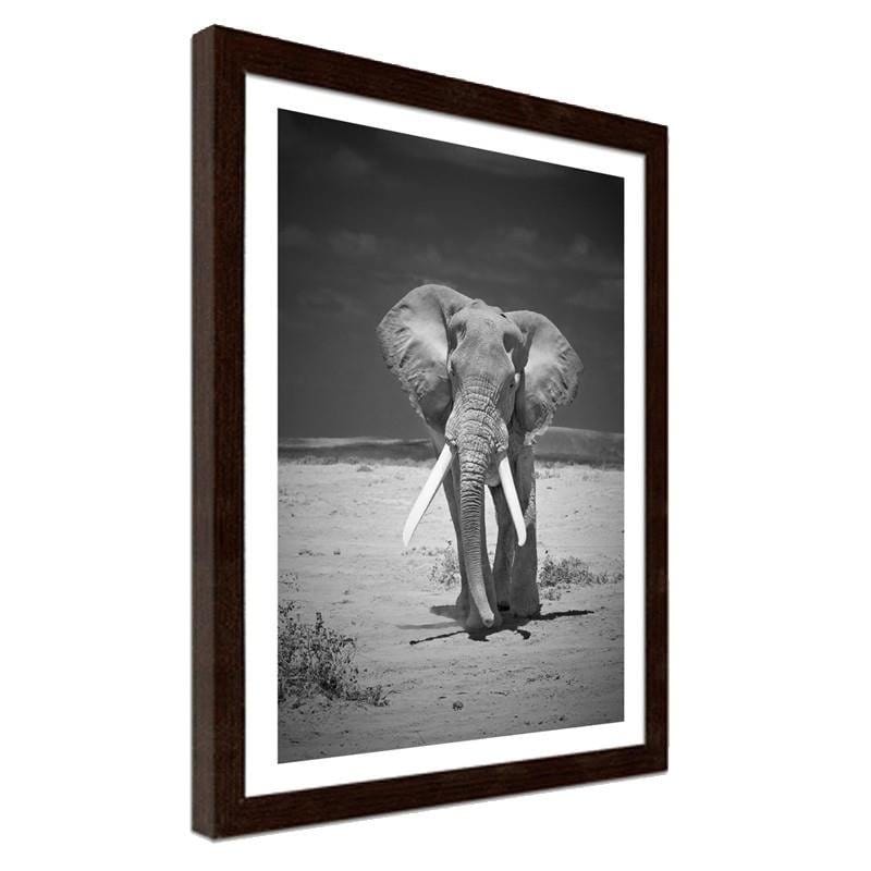 Glezna brūnā rāmī - A lonely wandering elephant Home Trends DECO