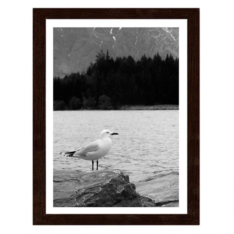 Glezna brūnā rāmī - A seagull on a rock Home Trends DECO
