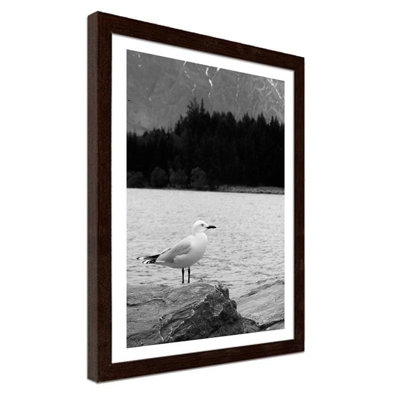 Glezna brūnā rāmī - A seagull on a rock Home Trends DECO