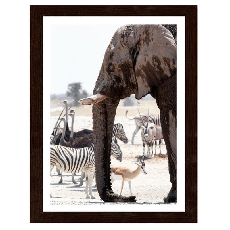 Glezna brūnā rāmī - African elephant Home Trends DECO