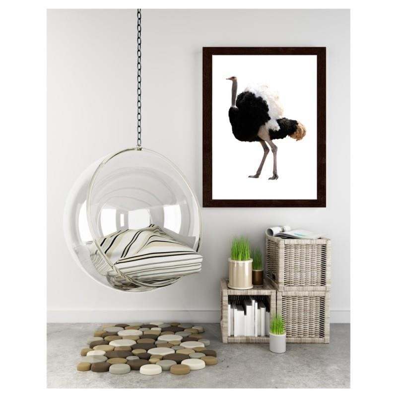 Glezna brūnā rāmī - An ostrich with beautiful feathers Home Trends DECO