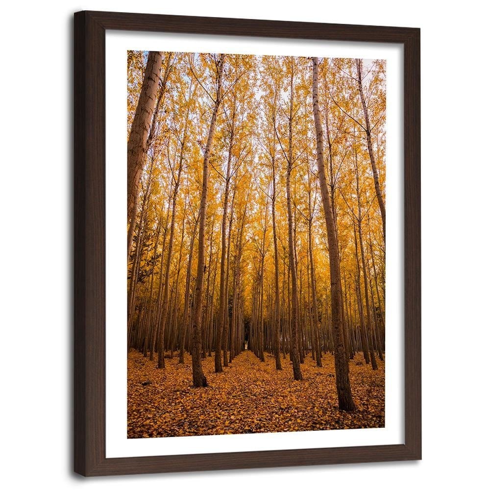 Glezna brūnā rāmī - And Birch Leaves Home Trends DECO
