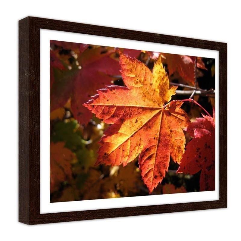 Glezna brūnā rāmī - Autumn leaf Home Trends DECO