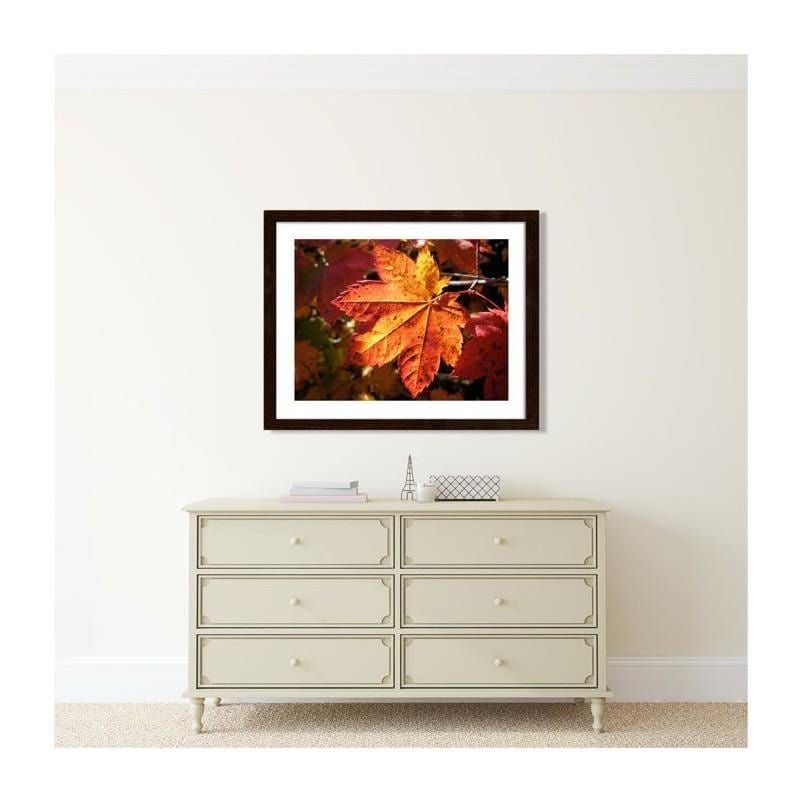 Glezna brūnā rāmī - Autumn leaf Home Trends DECO