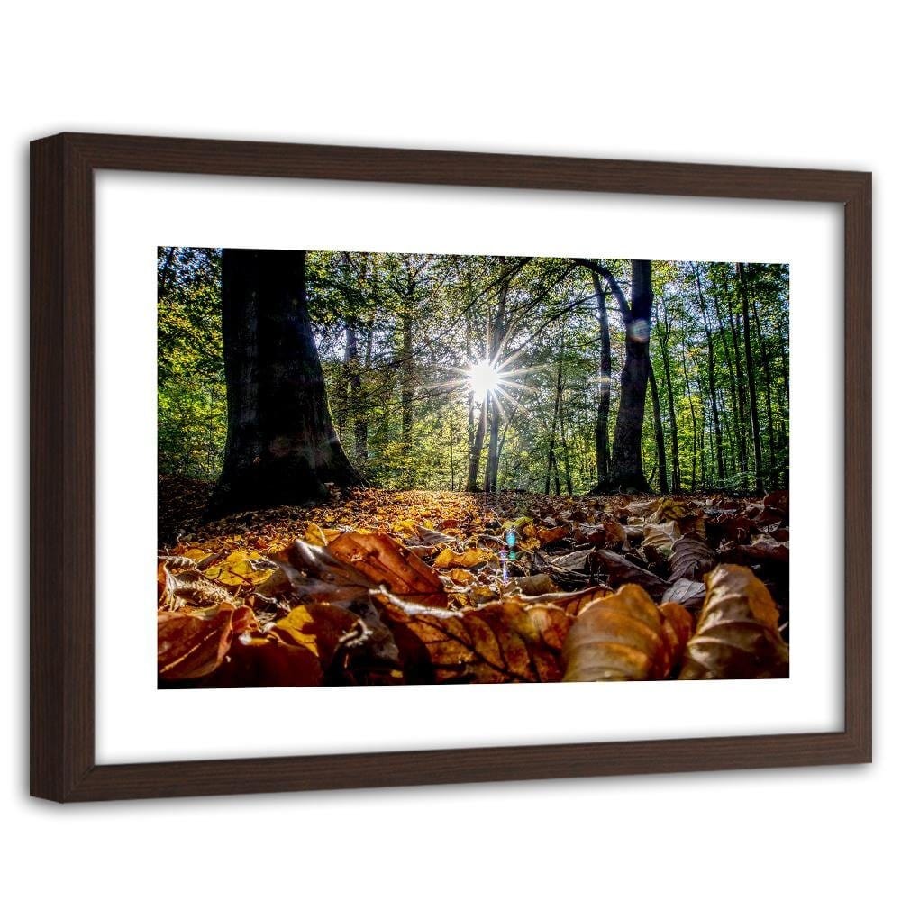 Glezna brūnā rāmī - Autumn Leaves In The Sun Home Trends DECO