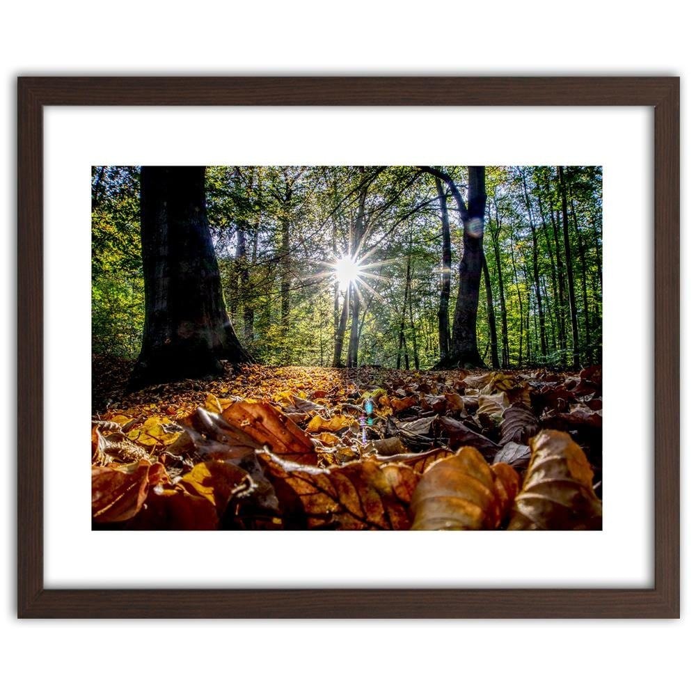 Glezna brūnā rāmī - Autumn Leaves In The Sun Home Trends DECO